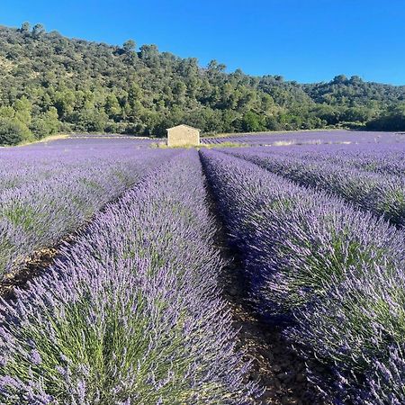 شقة Coeur De Provence Gréoux-les-Bains المظهر الخارجي الصورة